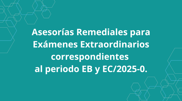 Asesorías Remediales